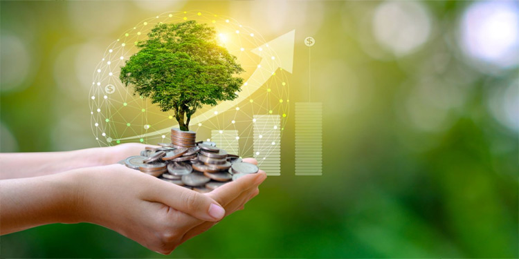 DIFFERENCE BETWEEN PROJECTS THAT GET FUNDING AND THOSE THAT DO NOT